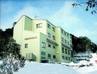 Cedarwood Apartments - Accommodation Mt Buller 0