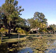 Twin Lakes Hotel - Accommodation Mt Buller