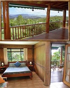 Atherton Blue Gum - Accommodation Mt Buller 0