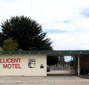 Millicent Motel - Accommodation Mt Buller