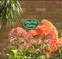 Lillypilly - Accommodation Mt Buller