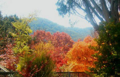 ELLENVALE HOLIDAY UNITS - Accommodation Mt Buller 1