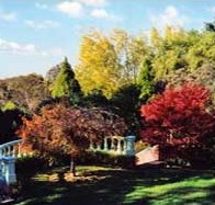 Edgelinks Bed And Breakfast - Accommodation Mt Buller