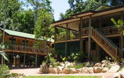 Licuala Lodge - Accommodation Mt Buller 2