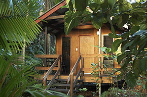 Cape Tribulation QLD Accommodation Mt Buller