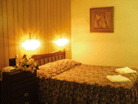 Riverview Motor Inn - Accommodation Mt Buller 0