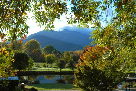 Dreamers Spa Resort - Accommodation Mt Buller 4