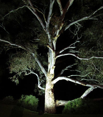 Tally Ho Lodge - Accommodation Mt Buller 3