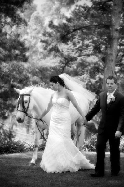 Tally Ho Lodge - Accommodation Mt Buller 6