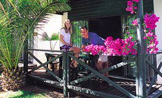 Desert Palms Resort - Accommodation Mt buller 3