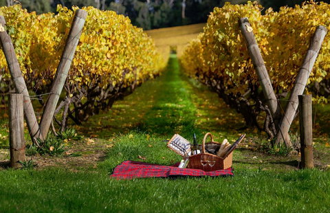 Lindenderry At Red Hill - Accommodation Mt Buller 5