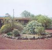 Beaufort Motel - Accommodation Mt buller