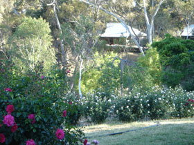 Watervale SA Accommodation Mt Buller