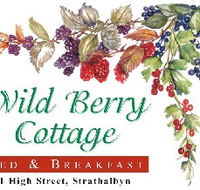 Wild Berry Cottage - Accommodation Mt Buller