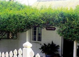Peppertree Cottage Bed And Breakfast - Normanville - Accommodation Mt Buller 1