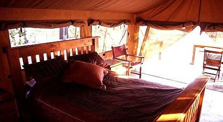 Jabiru Safari Lodge At Mareeba Wetlands - Accommodation Mt Buller 1