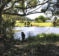 Newry Park Cottage - Accommodation Mt Buller