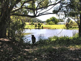 Newry Park Cottage - Accommodation Mt Buller 0
