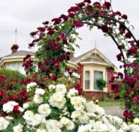 Golden Embers Apartments and B and B - Accommodation Mt Buller