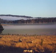 Fonthill - Accommodation Mt Buller
