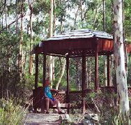 Telopea - Accommodation Mt Buller