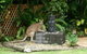 Bluewater Bed And Breakfast Cairns - thumb 0