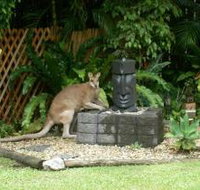 Bluewater Bed and Breakfast Cairns - Accommodation Mt Buller