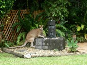 Bluewater Bed And Breakfast Cairns - Accommodation Mt Buller 0