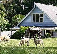 Hide-Away Cottage Retreat - Accommodation Mt Buller