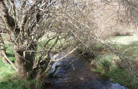 Penguin Valley Farm - Accommodation Mt Buller 1