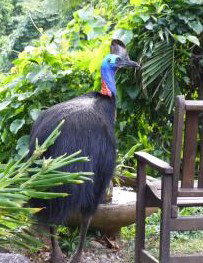 Sanctuary Retreat - Accommodation Mt Buller 2