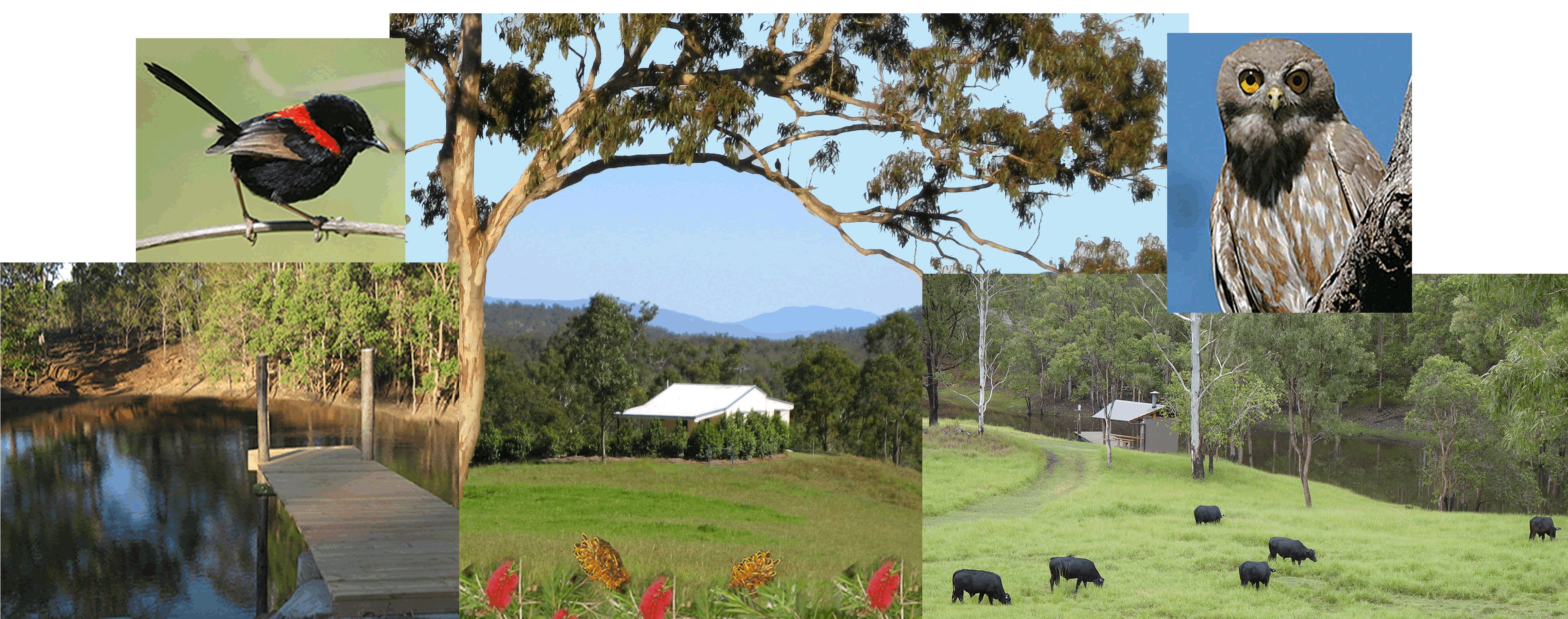 Barking Owl Retreat - Accommodation Mt Buller