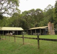 Tree Fern Lodge - Accommodation Mt Buller