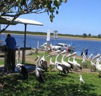 Mountain View Caravan and Mobile Home Village - Accommodation Mt Buller
