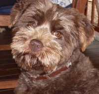 Lagoon Pocket Bed and Breakfast - Accommodation Mt Buller