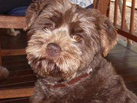 Lagoon Pocket Bed And Breakfast - Accommodation Mt Buller 0