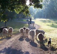 Brooloo Park - Accommodation Mt Buller