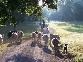 Brooloo Park - Accommodation Mt Buller 0