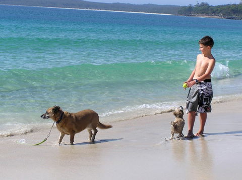 A Paradise Bungalow Waterfront - Accommodation Mt Buller 1