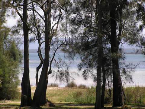 A Paradise Bungalow Waterfront - Accommodation Mt Buller 5