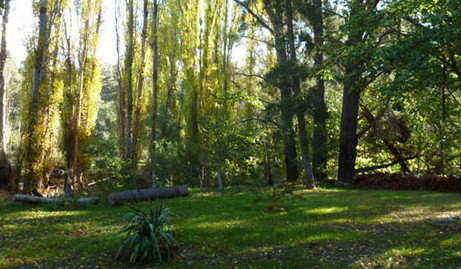 Old England Accommodation - Accommodation Mt Buller 2