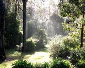 Casuarina Holiday Cottages - Accommodation Mt Buller 1