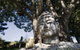Banksia Garden Retreat - thumb 1