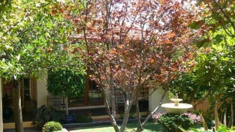 Akame - Accommodation Mt Buller 0