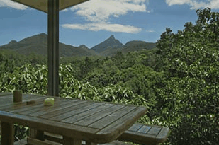 Mavis's Kitchen And Cabins - Accommodation Mt Buller 1