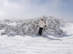 Barina Milpara Lodge - Accommodation Mt Buller 1
