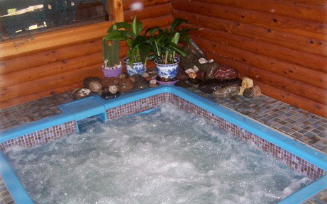 Bass Lodge - Accommodation Mt Buller 5