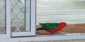 Azalea Cottage - Accommodation Mt Buller 5