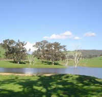Hillview Farmstay - Accommodation Mt Buller
