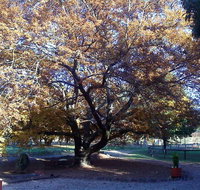 Hillview Oak Bed and Breakfast